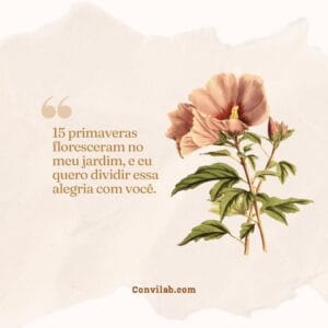 frases convite